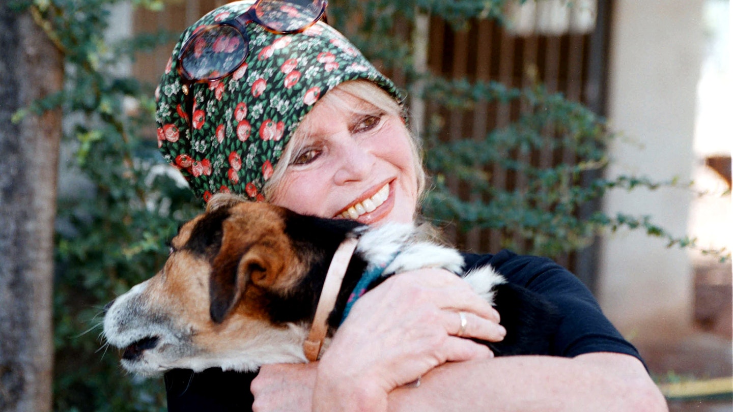 Brigitte Bardot'un Şaşırtan Son Dakikadaki Vefatı: 91 Yaşında Hayvan Hakları Efsanesi Hayatını Kaybetti!